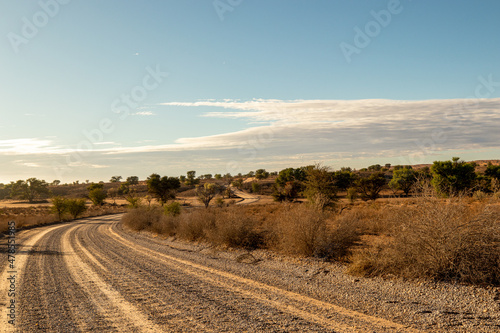 Dirt road in the Kgalagadi