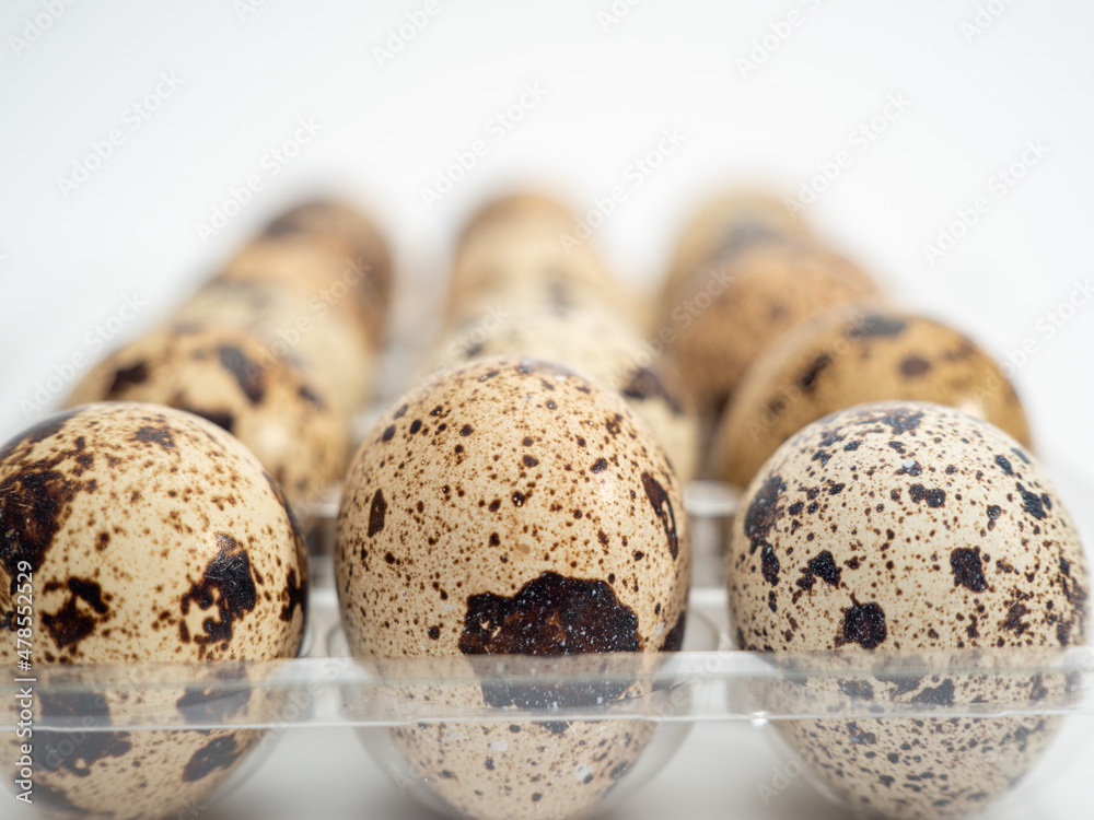 Obraz premium Quail eggs isolated. Quail eggs isolated on white background.