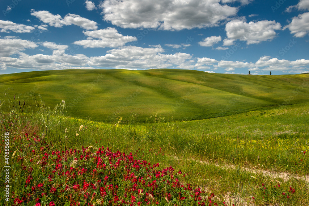 Italian tuscan hills