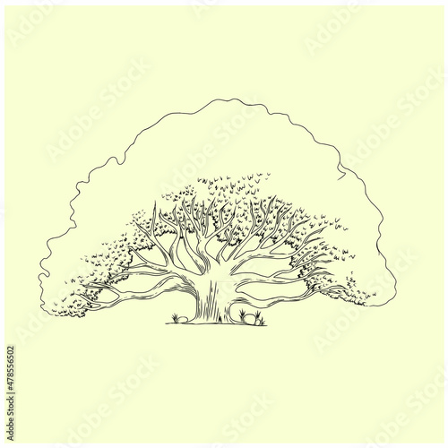 Old oak tree hand drawn engraved style vector image