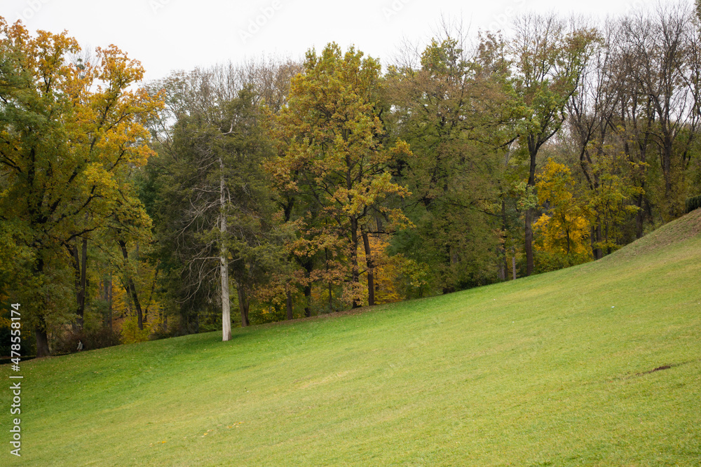 View of landscape with autumn trees at  park