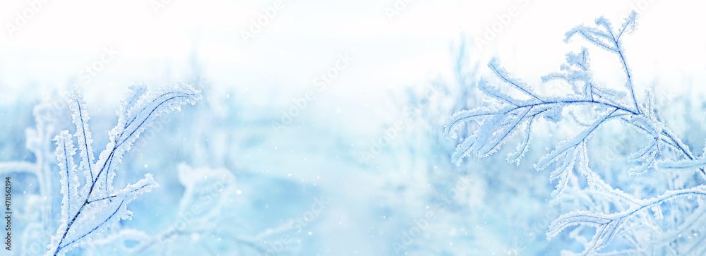 Frozen snowy grass, winter natural abstract background. beautiful winter landscape. cold frosty weather. winter season. new year, Christmas holidays. banner. artistic light exposure - obrazy, fototapety, plakaty 
