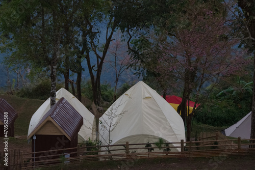 White luxury tent group on a steep hill in blooming national park © Chartchai