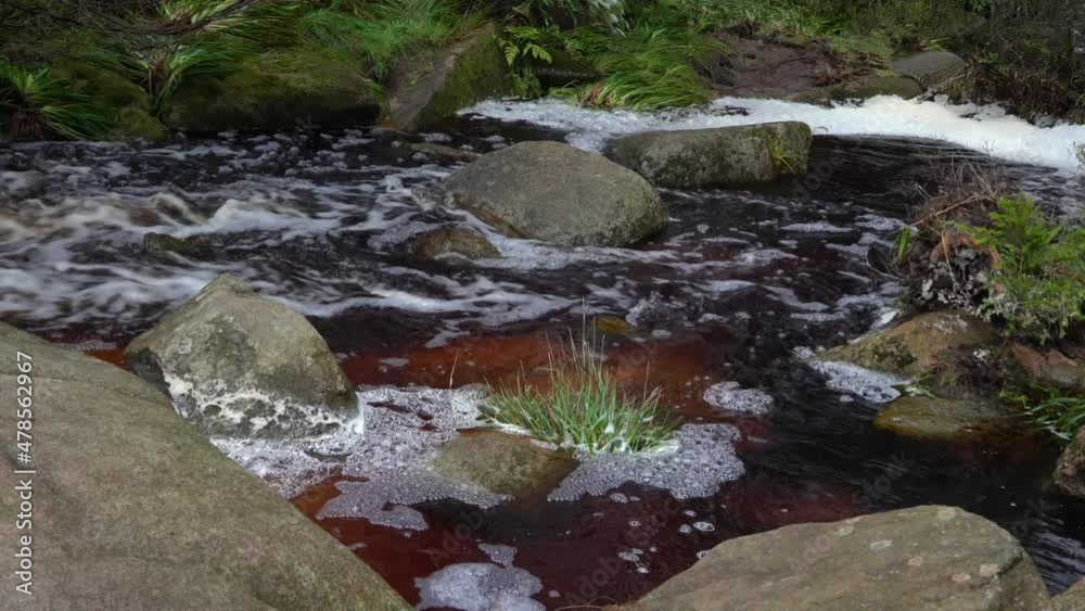 Abbegraben im Torfhausmoor im Harz Abbegraben im Torfhausmoor im Harz