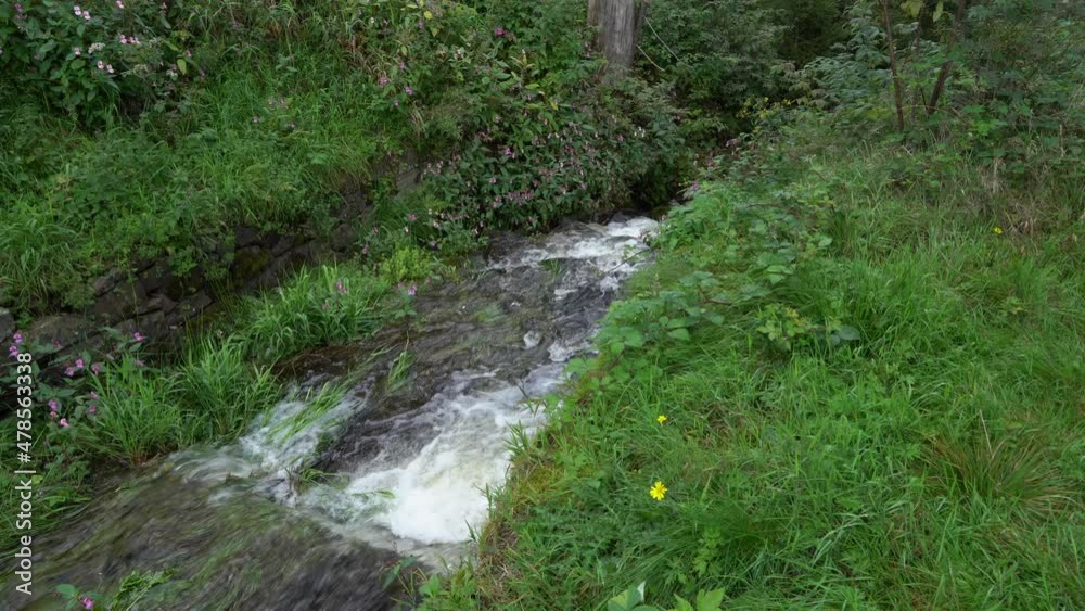 Kleiner Bach fließt durch eine Wiese Kleiner Bach fließt durch eine Wiese