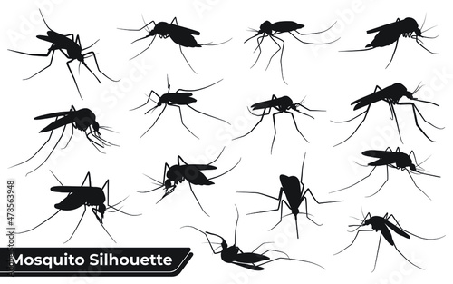 Collection of Animal Mosquito Silhouettes vector
