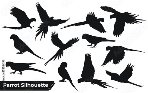 Collection of Animal Parrot Silhouettes vector photo