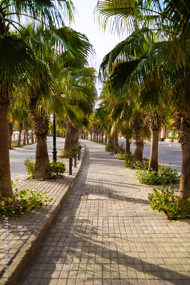 Fototapeta premium Sahl Hasheesh. Hurhgada.