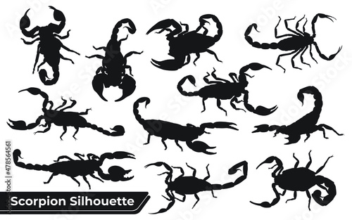 Collection of Animal Scorpion Silhouette vector © Adopik