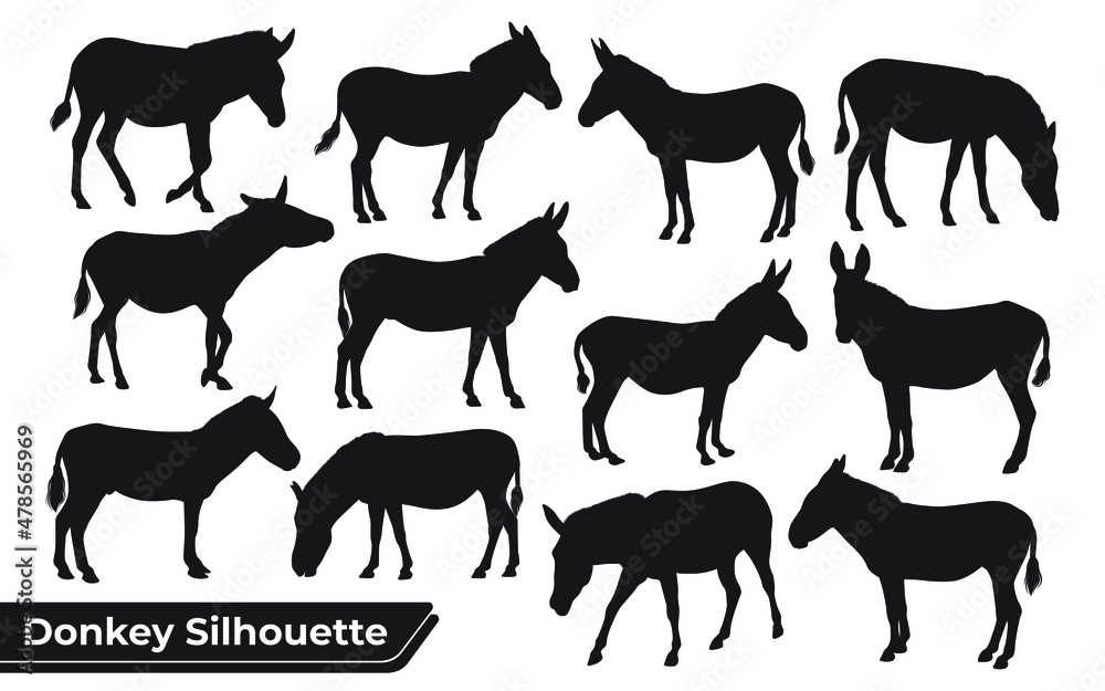 Fototapeta premium Collection of animal Donkey Silhouette Vector