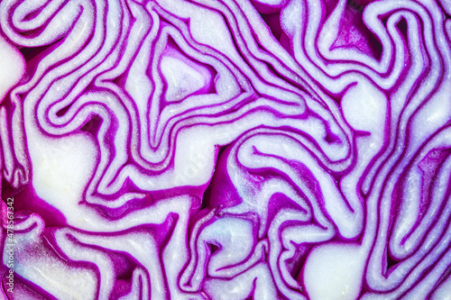 Background of the blue cabbage in the cut, macro photography. Close up, top view. Texture raw purple cabbage 