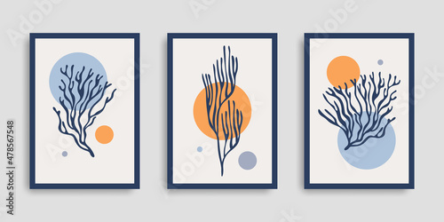 Marine wall art. Set of abstract contemporary posters with nautical corals and geometric shapes. Cover collection. Modern minimalist art. Vector illustration. Design for print poster, cover, wallpaper