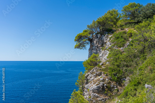 Beautiful seascape with blue Adriatic sea, blue sky and green pine tree on rocky coastline of Croatia