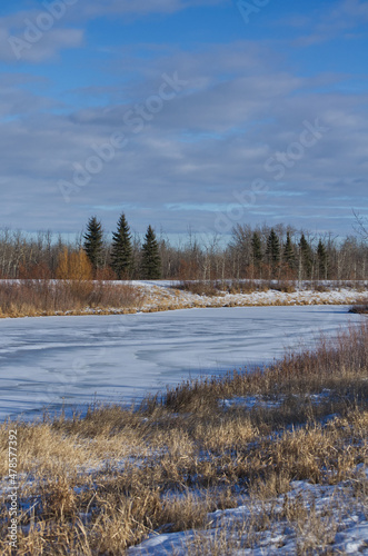 Wallpaper Mural Pylypow Wetlands Freezing over before the Winter Torontodigital.ca