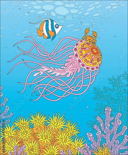 Fancy jellyfish with long stinging tentacles, a funny small crab and a striped butterfly fish traveling around a colorful coral reef in a tropical sea, vector cartoon illustration