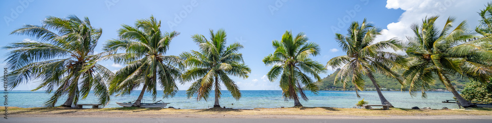 Palm trees panorama as background banner