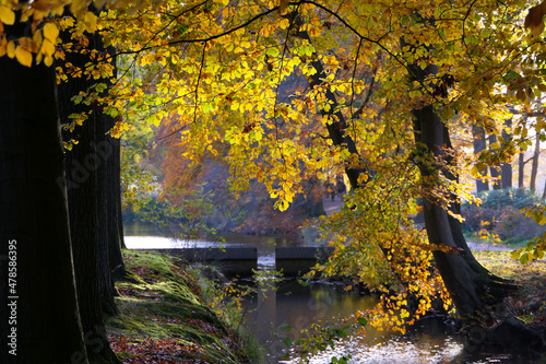 autumn in the park (Schaffelaarse Bos, Barneveld, Netherlands)