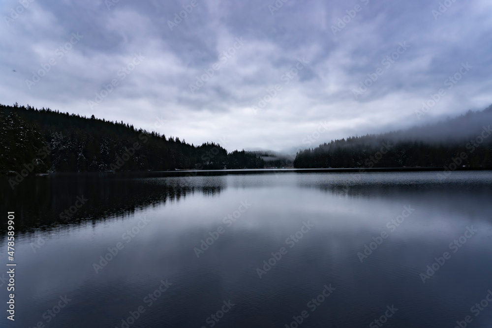 Dark winter lake on edge of foggy forest