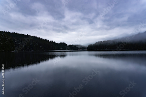 Dark winter lake on edge of foggy forest © Mitch