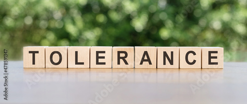 Tolerance Word In Wooden Cubes on a gray-green background