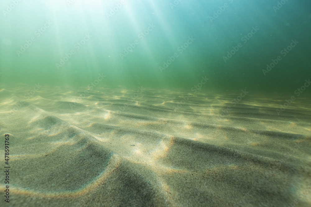 Natural underwater seascape, sand on the sea floor and water surface with sunlight... - obrazy, fototapety, plakaty 