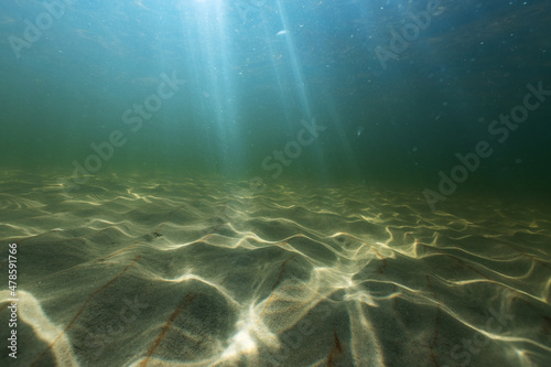 Natural underwater seascape  sand on the sea floor and water surface with sunlight...