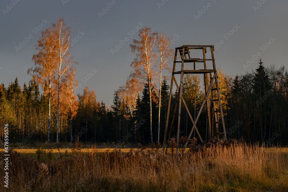 hunting observing tower made of forest trees in autumn landscape hunting observing tower made of forest trees in autumn landscape