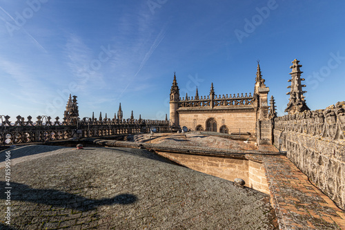 Sevilla, Spain. Details of the rooftop of the Gothic Cathedral of Saint Mary of the See