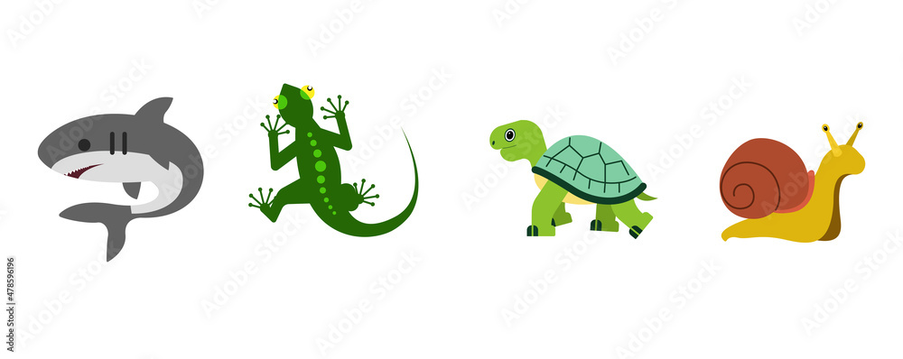 Naklejka premium Lizard, shark, tirtle, snail vector flat icon. 