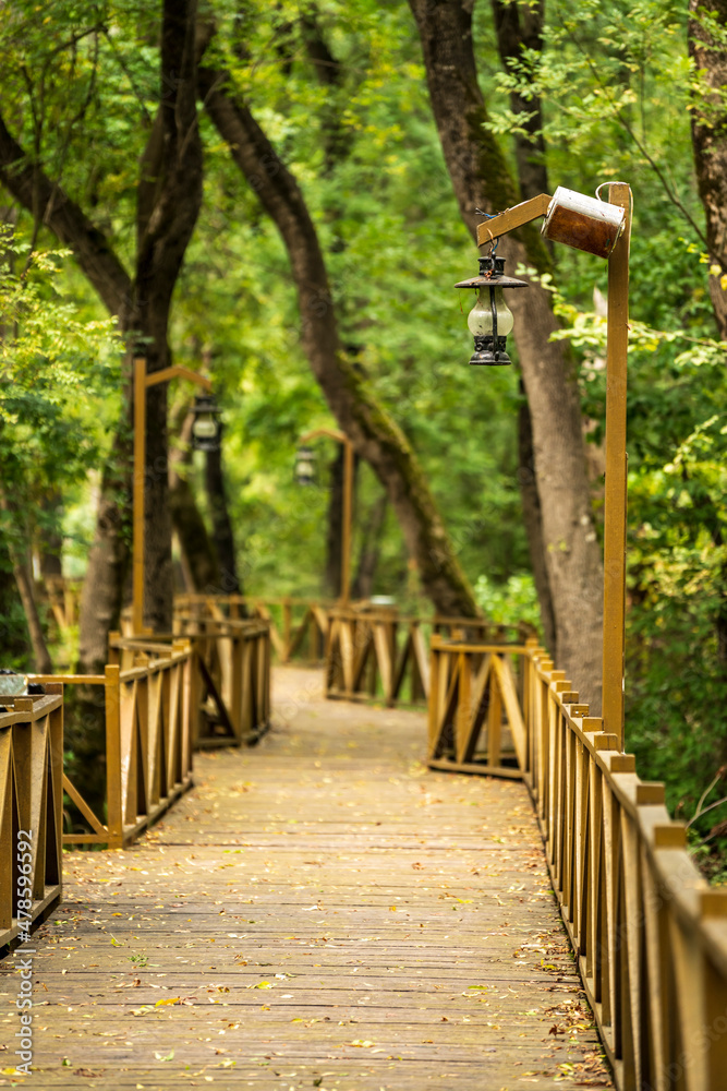 Empty forest with wooden path, empty road Empty forest with wooden path, empty road