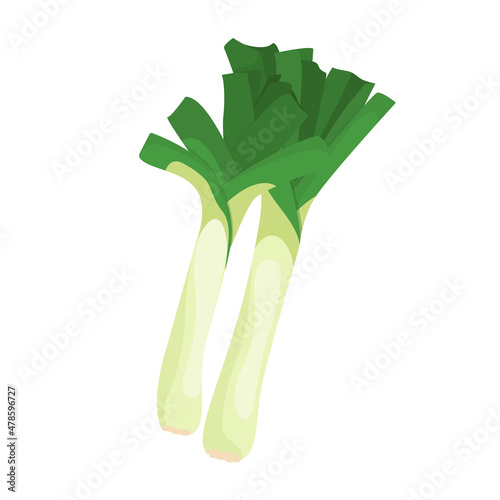 Vector illustration of leek in cartoon style. Farm fresh veggie just from the garden. Healthy food design. Organic eco vegetable for salads.