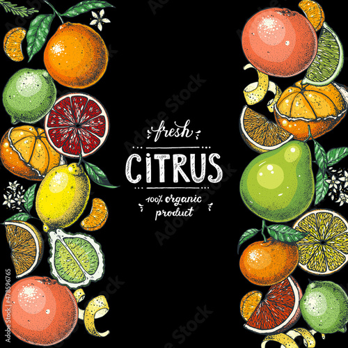 Citrus collection. Hand drawn vector illustration. Organic food frame, citrus design template. Colored illustration. Vintage citrus set.