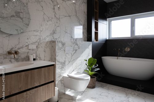 Modern bright bathroom with green plant and window