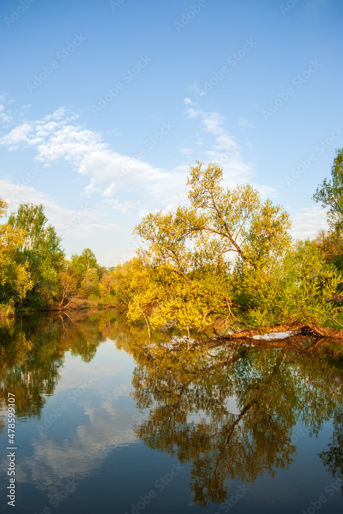 Lake and trees in the rays of the sun at sunset. Beautiful spring landscape. Lake and trees in the rays of the sun at sunset. Beautiful spring landscape.