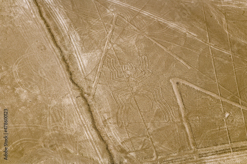 Nazca Lines Geoglyphs UNESCO Site Peru