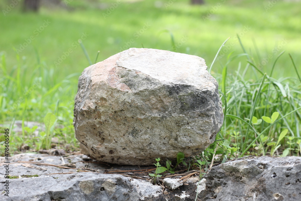 stone in the grass