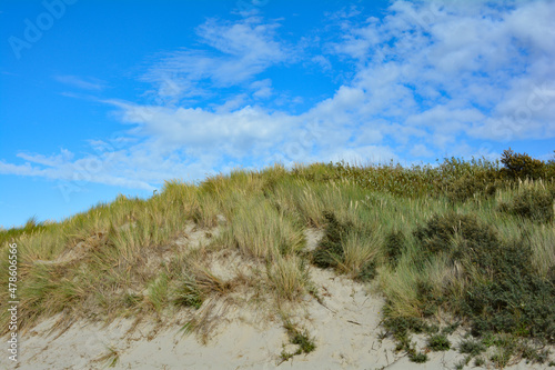 Sand dunes with beach grass on the North Sea with blue sky