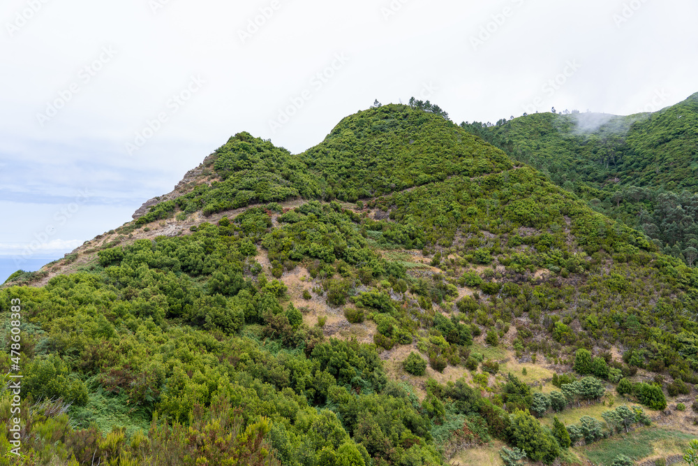 Obraz premium Vereda da Boca do Risco walking path in Madeira’s island north-eastern coast