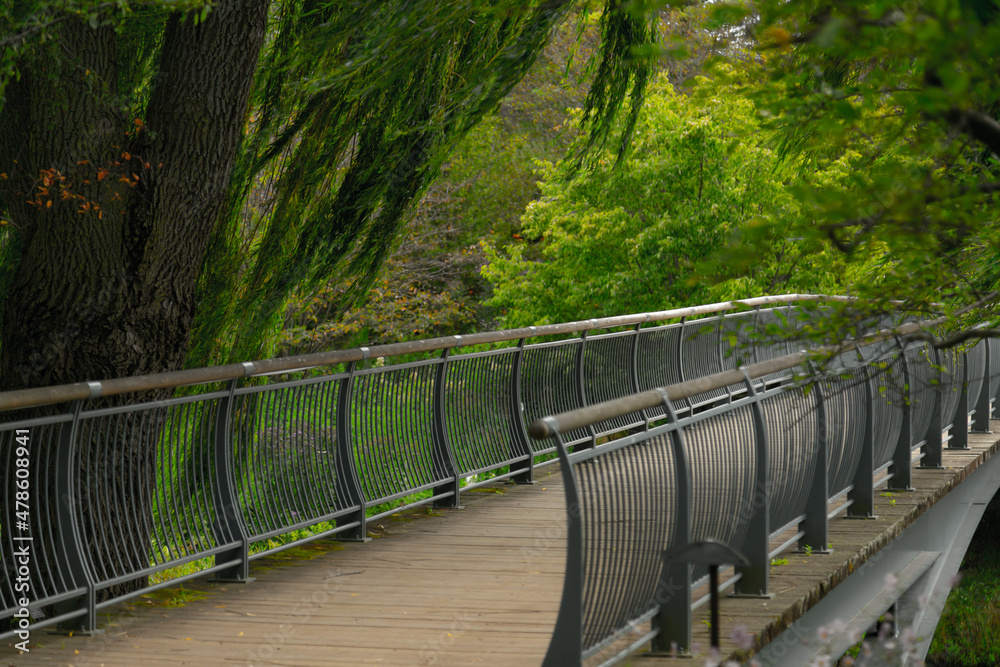 Fototapeta premium Ponte ou passarela de pedestre em destaque, com árvores ao redor, muito verde, serenidade, paz e ar puro, chorão com seus galhos movimentados pelo vento. Imagem bucólica remetendo à um dia frio.