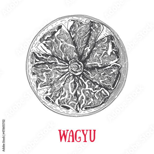 Wagyu sketch, japanese food, marbled beef. Hand drawn vector illustration. Japanese food engraved sketch.