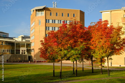 Autumn in Umeå university campus