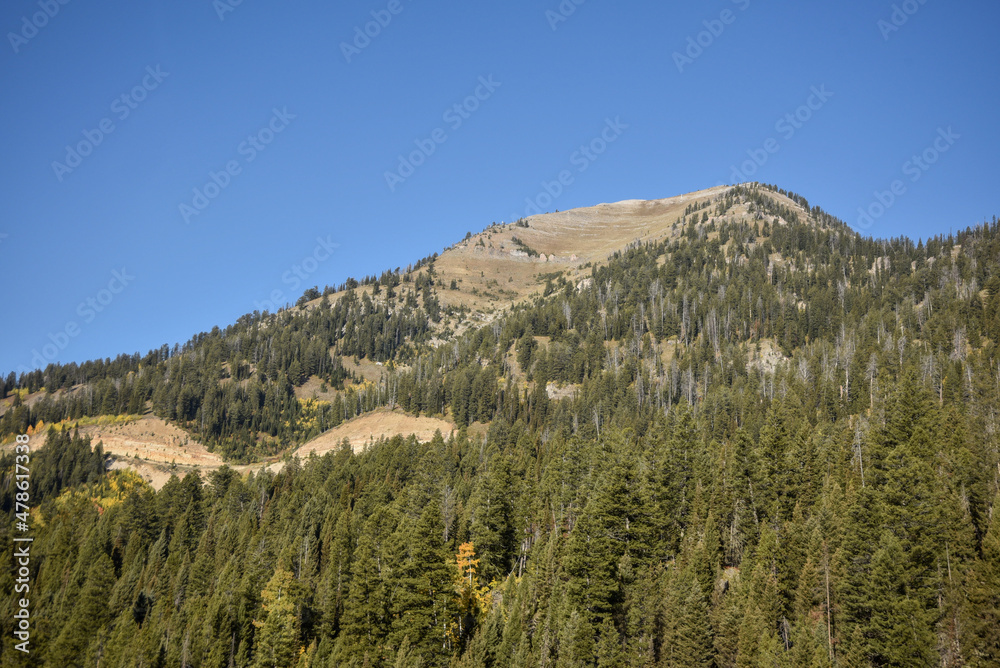 Obraz premium landscape in the mountains