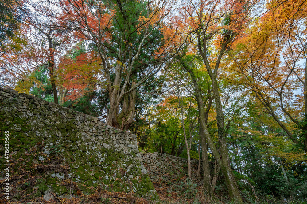 Naklejka premium 高取城