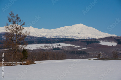 残雪の畑と雪山　大雪山旭岳  © kinpouge