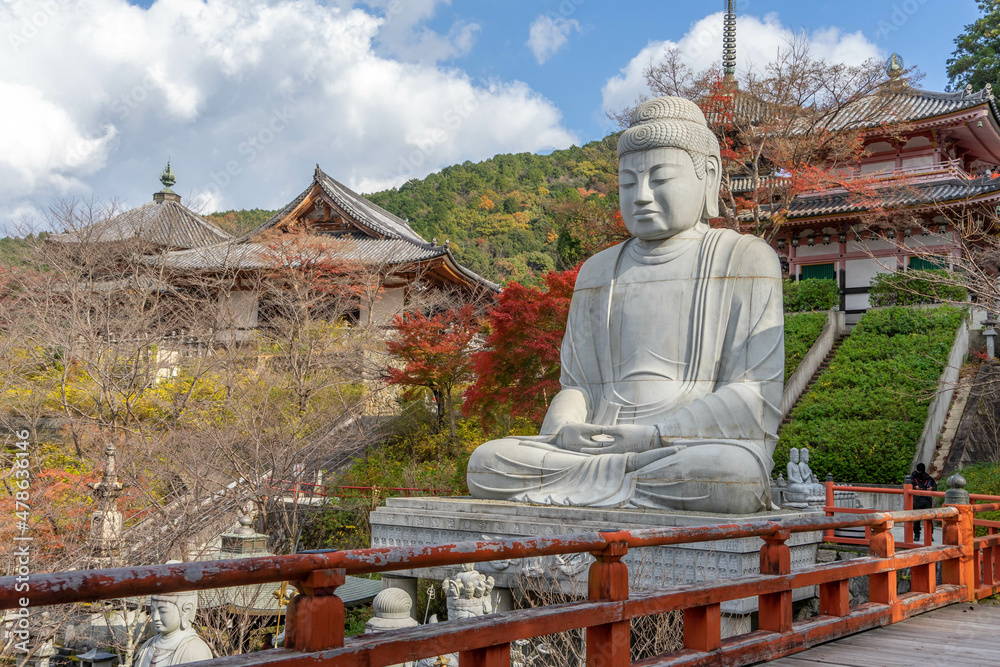 Fototapeta premium 壺阪寺