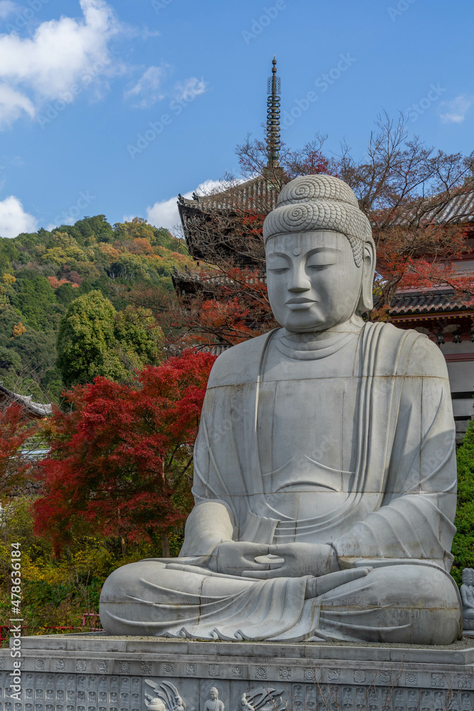 Obraz premium 壺阪寺