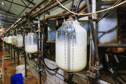 The milk measuring bottle is in the milking hall, North China