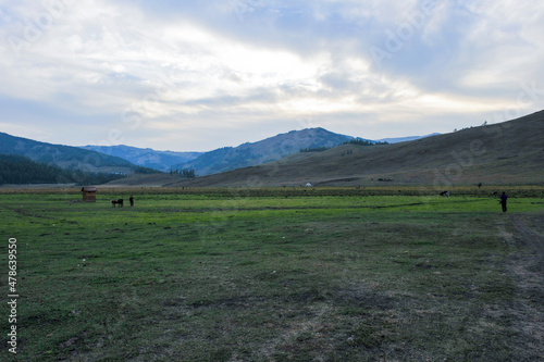Grassland and pasture scenery, Xinjiang, China