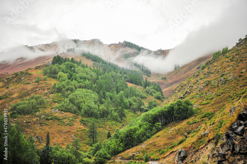 Mountains  forests  natural scenery  under the background of cloudy weather. In Xinjiang  China.