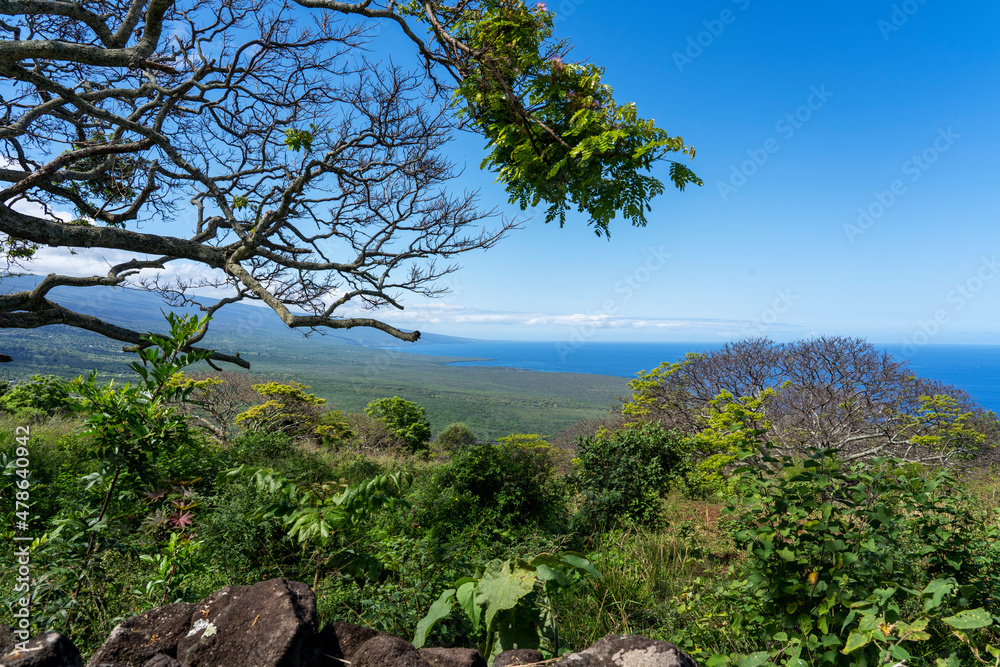 The view of Big Island, Hawaii from the top of the hill